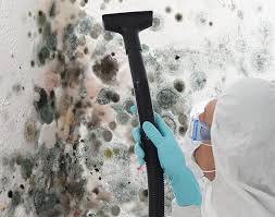 Best Commercial Mold Inspection  in Whitewater, KS